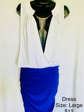 White Deep V Blouse Top with Royal Blue Skirt